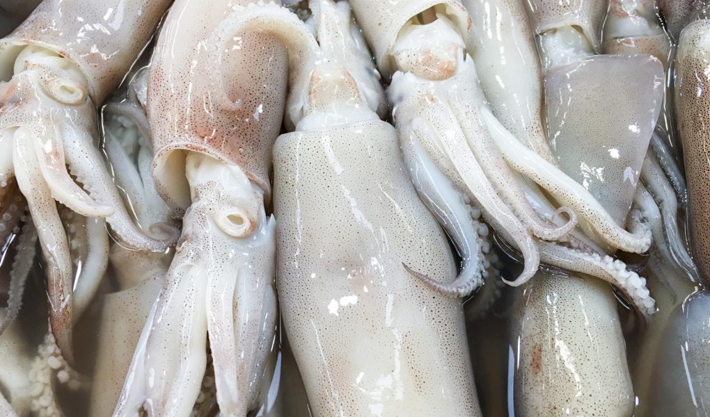 Calamari in umido