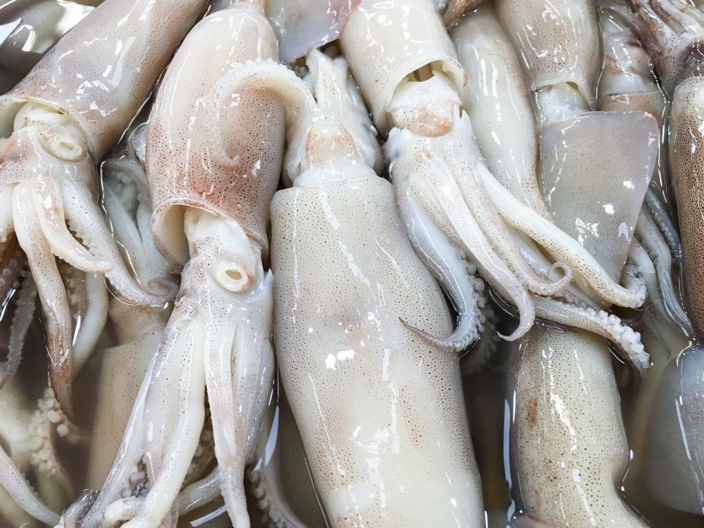 Calamari in umido