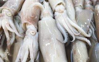 Calamari in umido