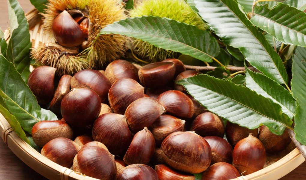Castagne in padella