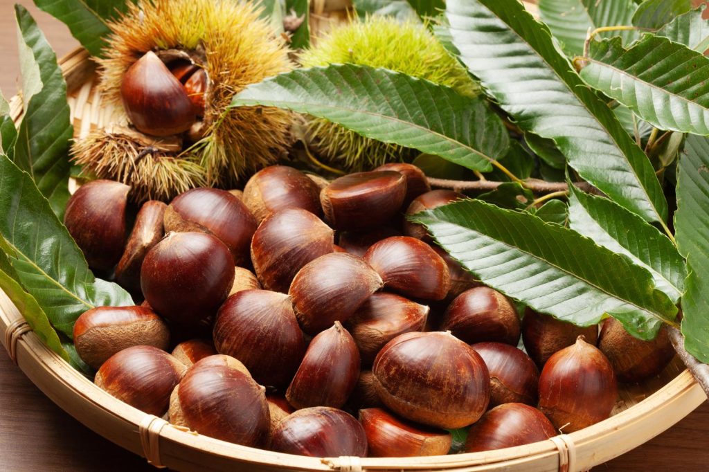 Castagne in padella