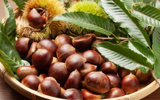 Castagne in padella