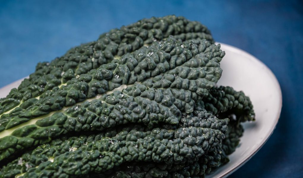 Pesto di cavolo nero