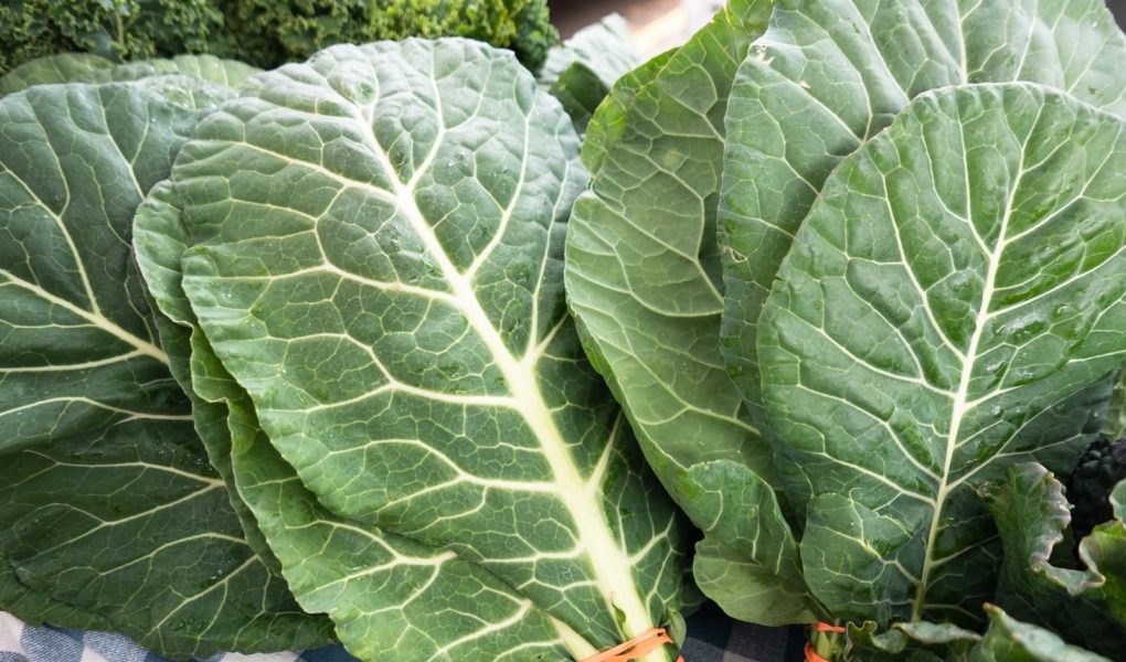 Zuppa di cavolo nero