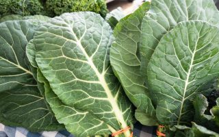 Zuppa di cavolo nero