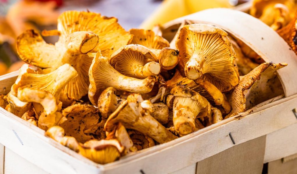 Funghi al forno