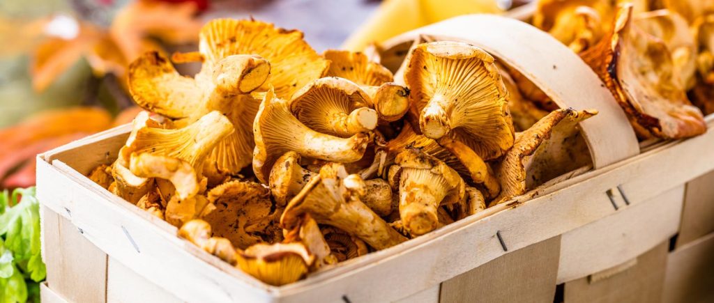 Funghi al forno