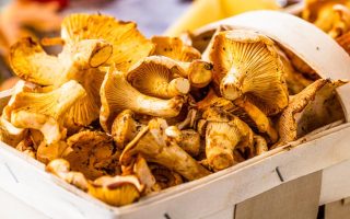 Funghi al forno
