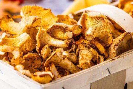 Funghi al forno