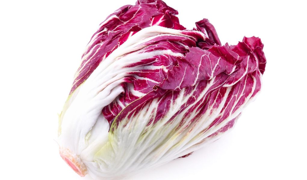 Lasagne al radicchio