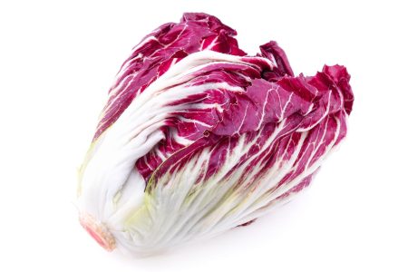 Lasagne al radicchio