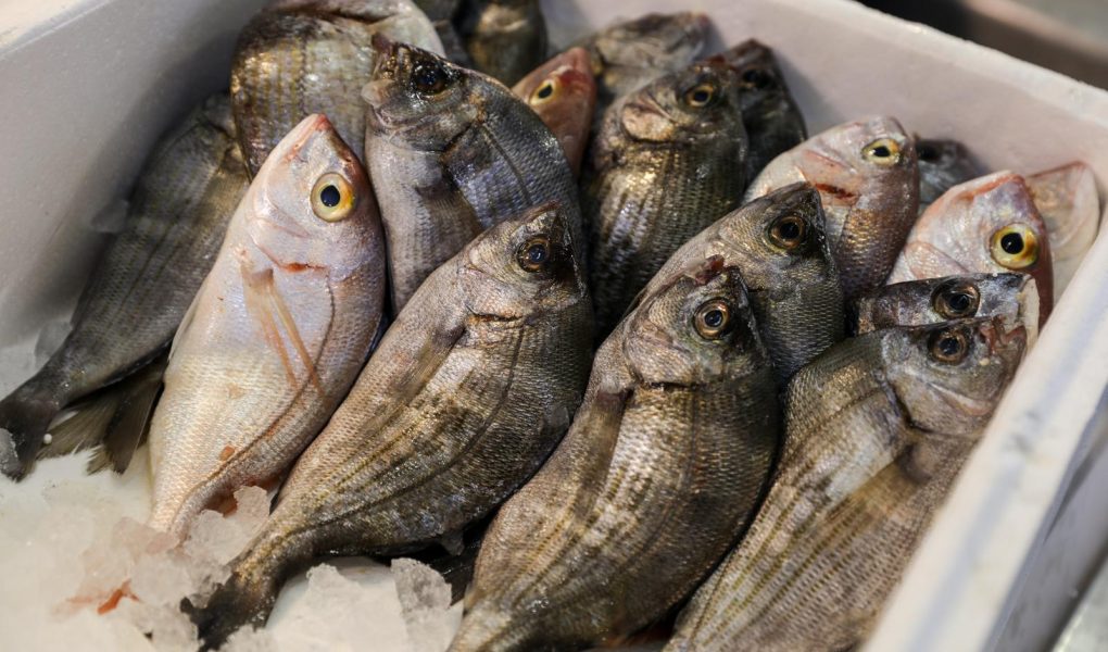 Orata alla griglia