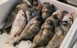 Orata alla griglia