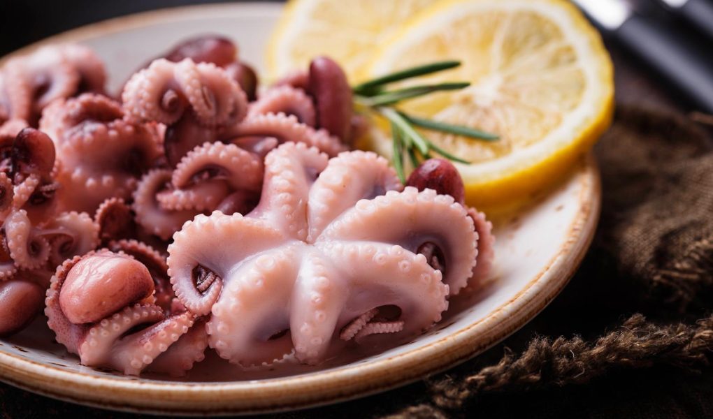 Polpo bollito