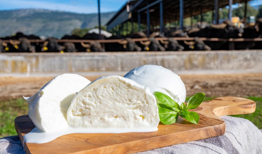 Rotolo di mozzarella