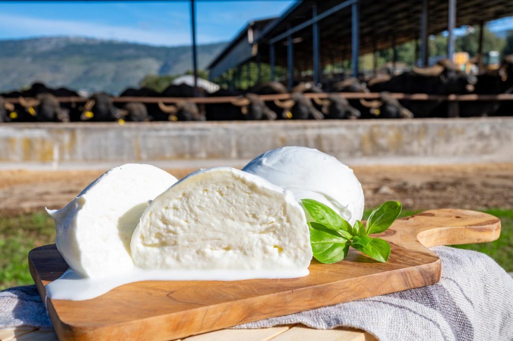 Rotolo di mozzarella