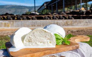Rotolo di mozzarella