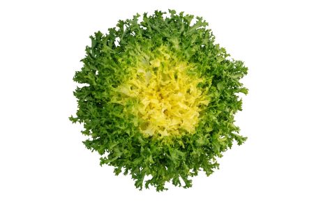 Scarola e fagioli
