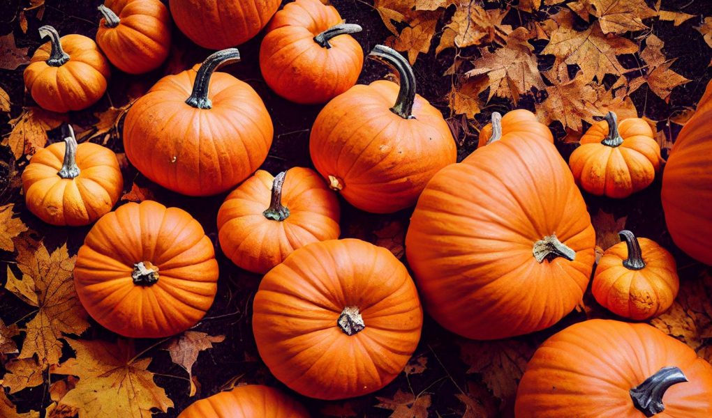 Tortino di zucca