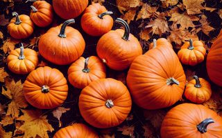 Tortino di zucca