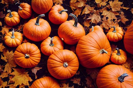 Tortino di zucca