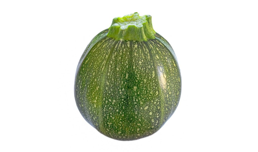 Zucchine lesse