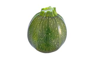 Zucchine lesse