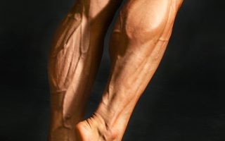 Calf machine
