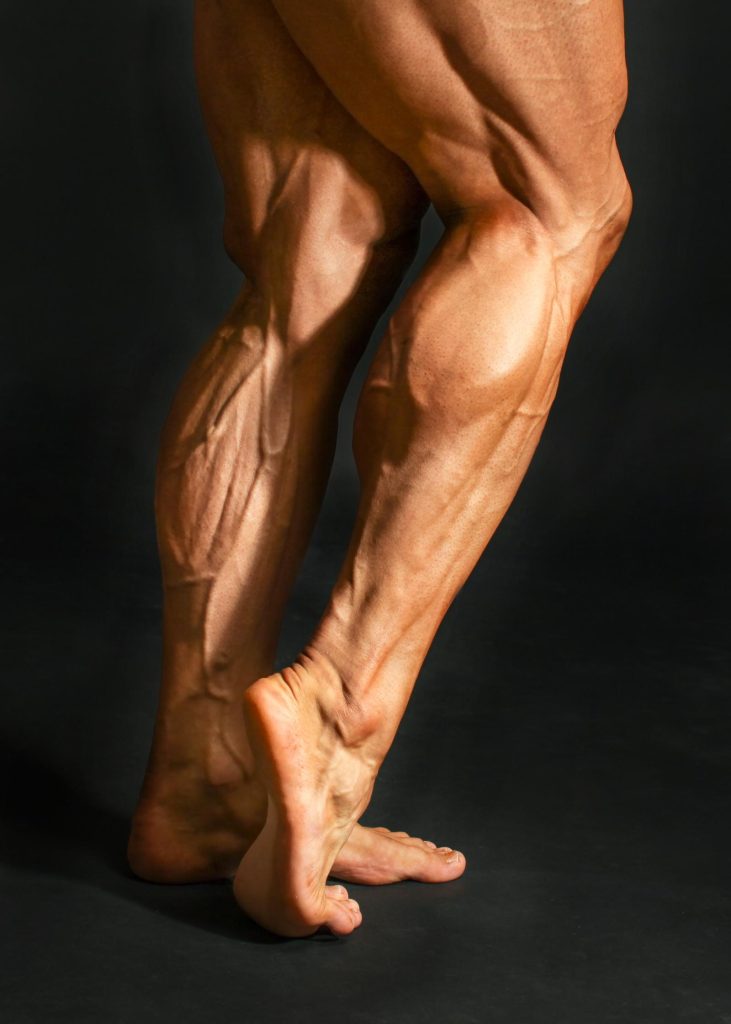 Calf machine