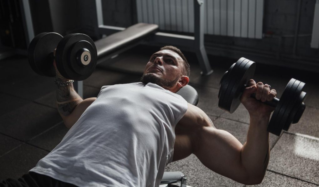 Chest press manubri