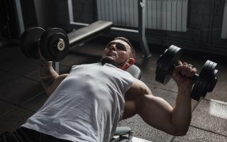 Chest press manubri
